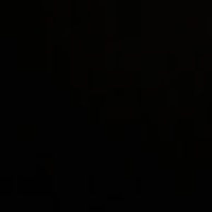 Meet your Posher, Eli